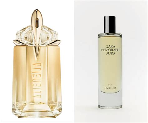 Best Zara Perfume Dupes 2024: They Could Be。